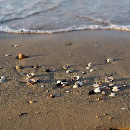 Tastefully Furnished Flat With Pool And Playground Bibione