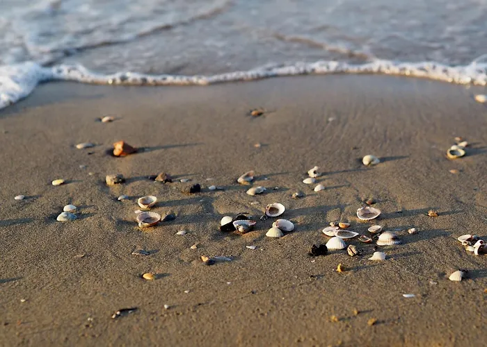 Tastefully Furnished Flat With Pool And Playground Bibione